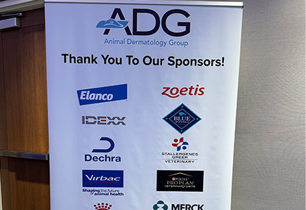 Animal Dermatology Group Doctor Meeting